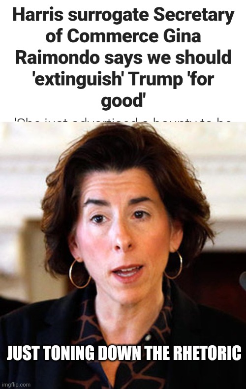 TDS makes you a violent Lunatic | JUST TONING DOWN THE RHETORIC | image tagged in gina raimondo,democrats,democratting,violence is never the answer,well yes but actually no,demonrats | made w/ Imgflip meme maker