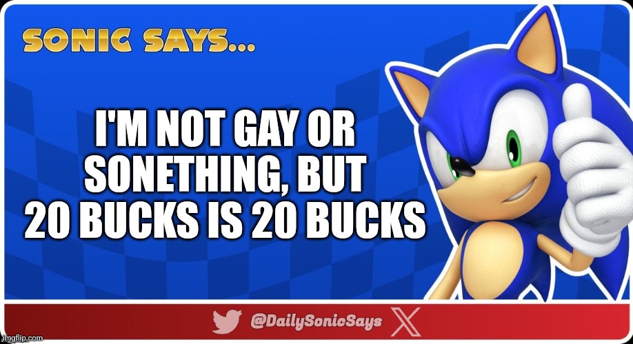 Sonic Says #48(?) | I'M NOT GAY OR SONETHING, BUT 20 BUCKS IS 20 BUCKS | image tagged in sonic says v3 | made w/ Imgflip meme maker