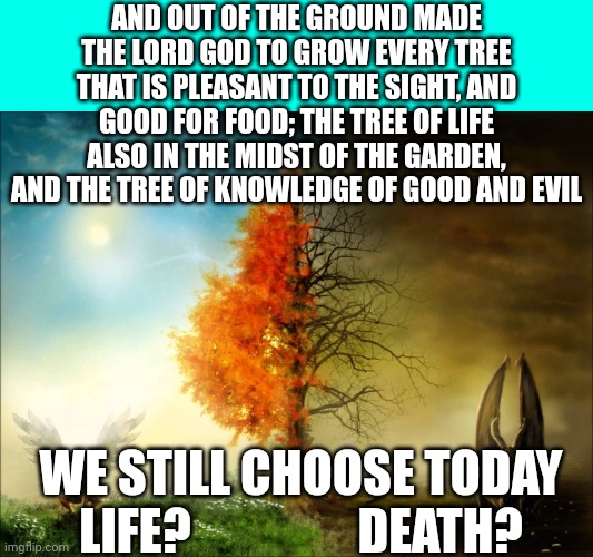 Heaven and Hell | AND OUT OF THE GROUND MADE THE LORD GOD TO GROW EVERY TREE THAT IS PLEASANT TO THE SIGHT, AND GOOD FOR FOOD; THE TREE OF LIFE ALSO IN THE MIDST OF THE GARDEN, AND THE TREE OF KNOWLEDGE OF GOOD AND EVIL; WE STILL CHOOSE TODAY
LIFE?                 DEATH? | image tagged in heaven and hell | made w/ Imgflip meme maker