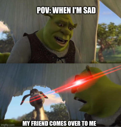 Shrek For Five Minutes | POV: WHEN I'M SAD; MY FRIEND COMES OVER TO ME | image tagged in shrek for five minutes | made w/ Imgflip meme maker