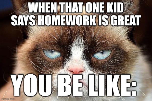 Nerds | WHEN THAT ONE KID SAYS HOMEWORK IS GREAT; YOU BE LIKE: | image tagged in grumpy cat glare | made w/ Imgflip meme maker