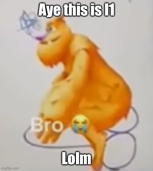 Dickrider | Aye this is l1; Lolm | image tagged in dickrider | made w/ Imgflip meme maker