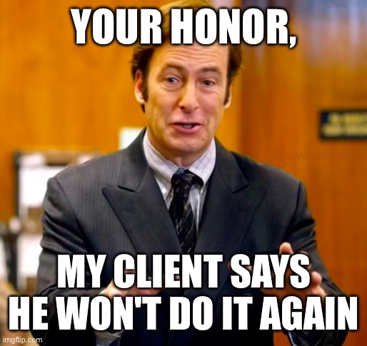 Saul Goodman Your Honor | YOUR HONOR, MY CLIENT SAYS HE WON'T DO IT AGAIN | image tagged in saul goodman your honor | made w/ Imgflip meme maker