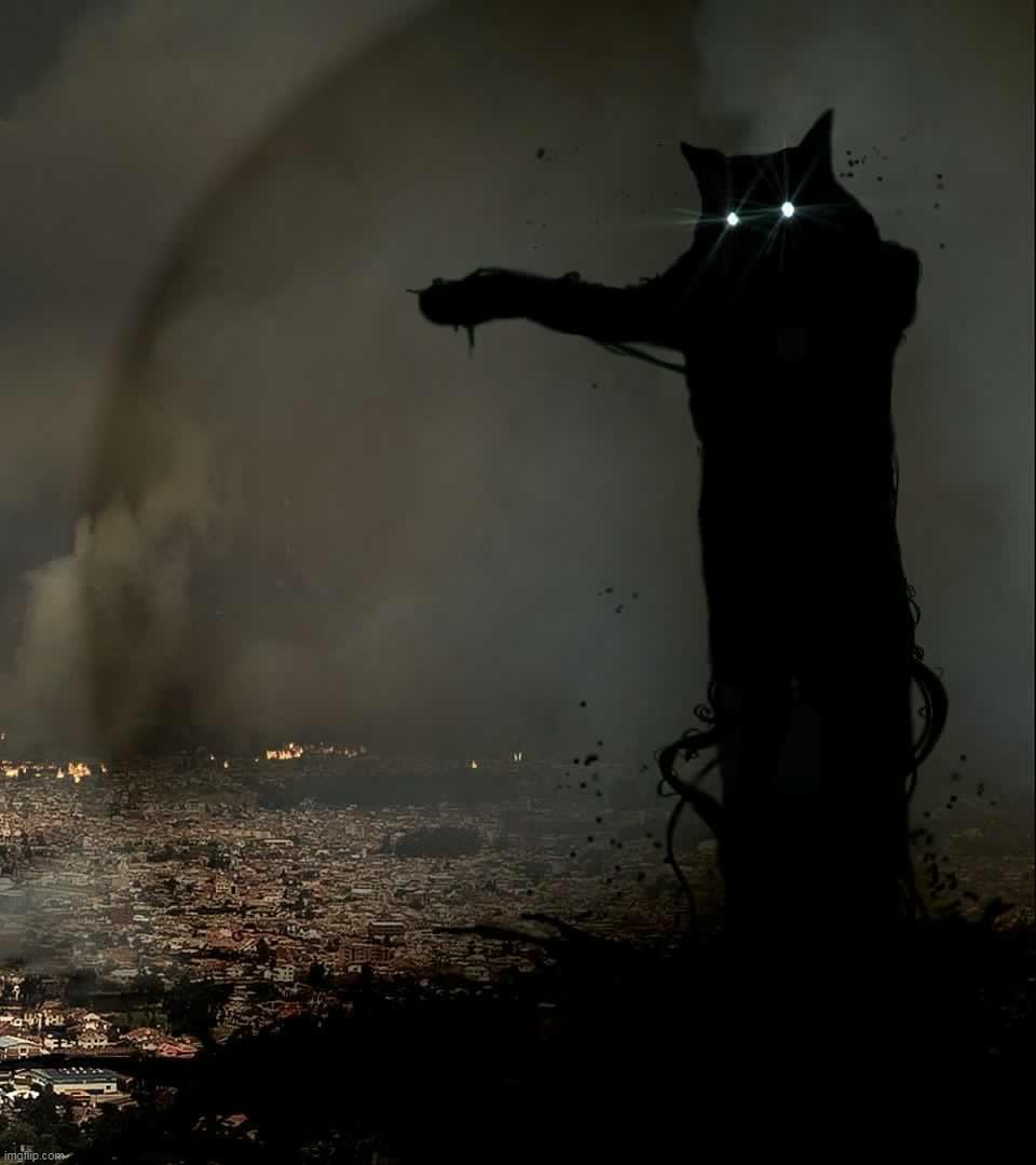 Godzilla Cat | image tagged in godzilla cat | made w/ Imgflip meme maker