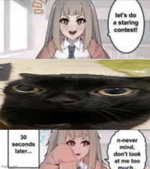 Staring contest 30 seconds | image tagged in staring contest 30 seconds | made w/ Imgflip meme maker