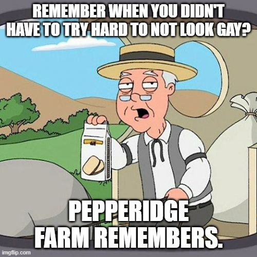 Can't even breathe without some form of media saying it's gay. | REMEMBER WHEN YOU DIDN'T HAVE TO TRY HARD TO NOT LOOK GAY? PEPPERIDGE FARM REMEMBERS. | image tagged in memes,pepperidge farm remembers,relatable | made w/ Imgflip meme maker