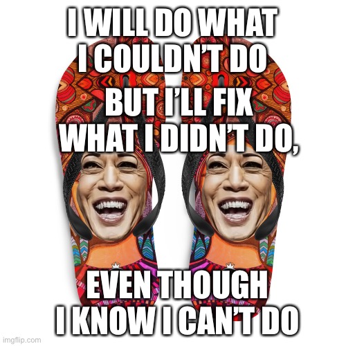 Doing the Doo Doo | I WILL DO WHAT I COULDN’T DO; BUT I’LL FIX WHAT I DIDN’T DO, EVEN THOUGH I KNOW I CAN’T DO | image tagged in flip flop queen | made w/ Imgflip meme maker