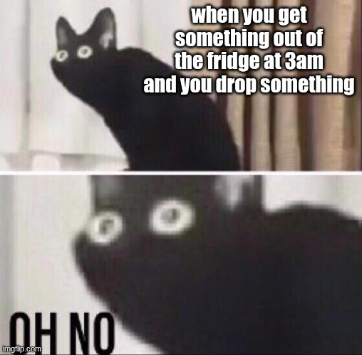 uh oh | when you get something out of the fridge at 3am and you drop something | image tagged in oh no cat,reality | made w/ Imgflip meme maker