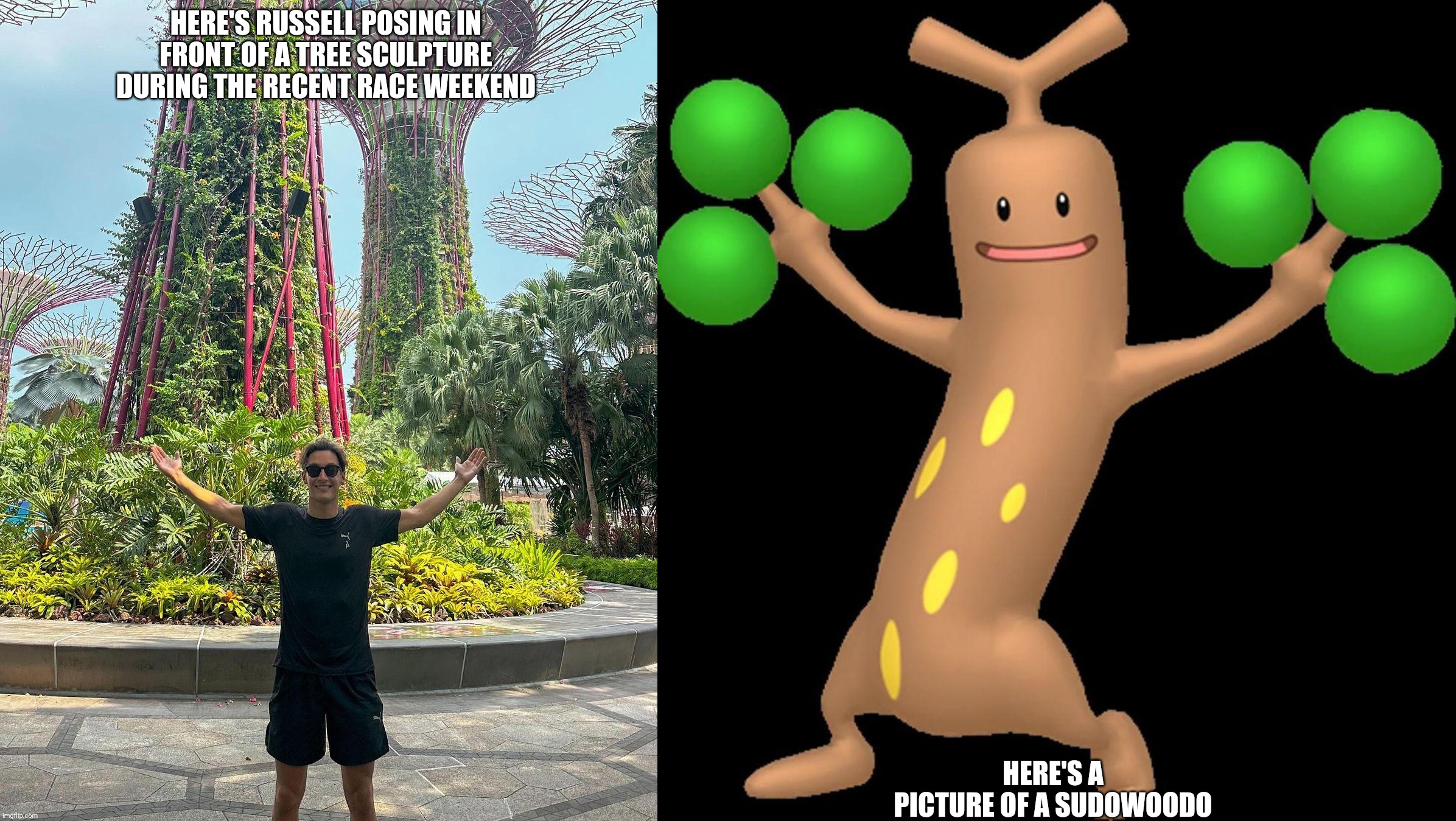 HERE'S RUSSELL POSING IN FRONT OF A TREE SCULPTURE DURING THE RECENT RACE WEEKEND; HERE'S A PICTURE OF A SUDOWOODO | image tagged in formula 1,george,tree,pokemon,park | made w/ Imgflip meme maker