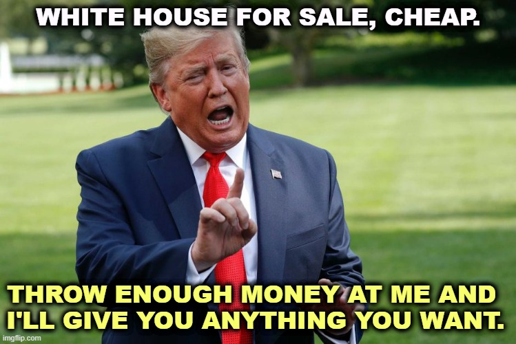 Got any billions to spare? I like billions. | WHITE HOUSE FOR SALE, CHEAP. THROW ENOUGH MONEY AT ME AND 
I'LL GIVE YOU ANYTHING YOU WANT. | image tagged in trump,bribe,campaign,contribution,white house | made w/ Imgflip meme maker