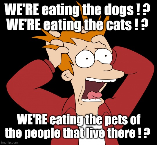 Futurama Fry Screaming | WE'RE eating the dogs ! ? 
WE'RE eating the cats ! ? WE'RE eating the pets of the people that live there ! ? | image tagged in futurama fry screaming | made w/ Imgflip meme maker