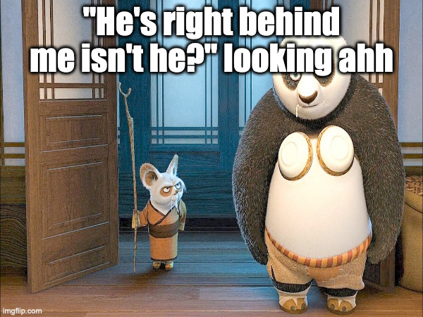 Not to make fun of this beautiful movie. | "He's right behind me isn't he?" looking ahh | image tagged in kung fu panda,he's right behind me isn't he | made w/ Imgflip meme maker