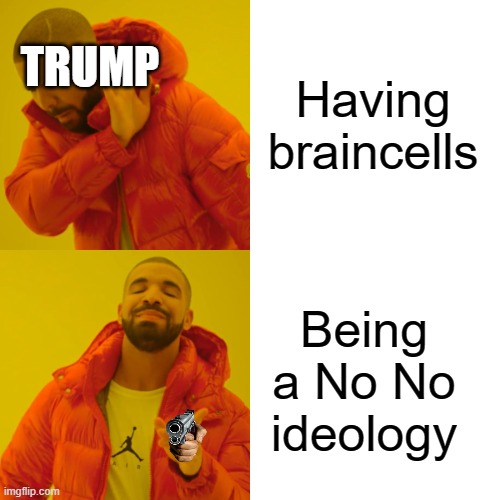 Drake Hotline Bling Meme | Having braincells; TRUMP; Being a No No ideology | image tagged in memes,drake hotline bling | made w/ Imgflip meme maker