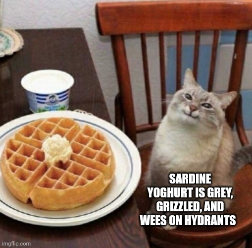 Cat likes their waffle | SARDINE YOGHURT IS GREY, GRIZZLED, AND WEES ON HYDRANTS | image tagged in cat likes their waffle | made w/ Imgflip meme maker