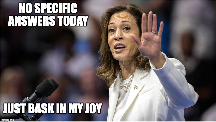 Inspired by what can be while unburdened by what has been... | NO SPECIFIC ANSWERS TODAY; JUST BASK IN MY JOY | image tagged in kamala harris | made w/ Imgflip meme maker