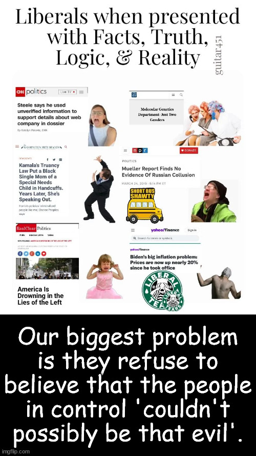 libs are terrified of the truth | Our biggest problem is they refuse to believe that the people in control 'couldn't possibly be that evil'. | image tagged in libs only accept propaganda as truth | made w/ Imgflip meme maker
