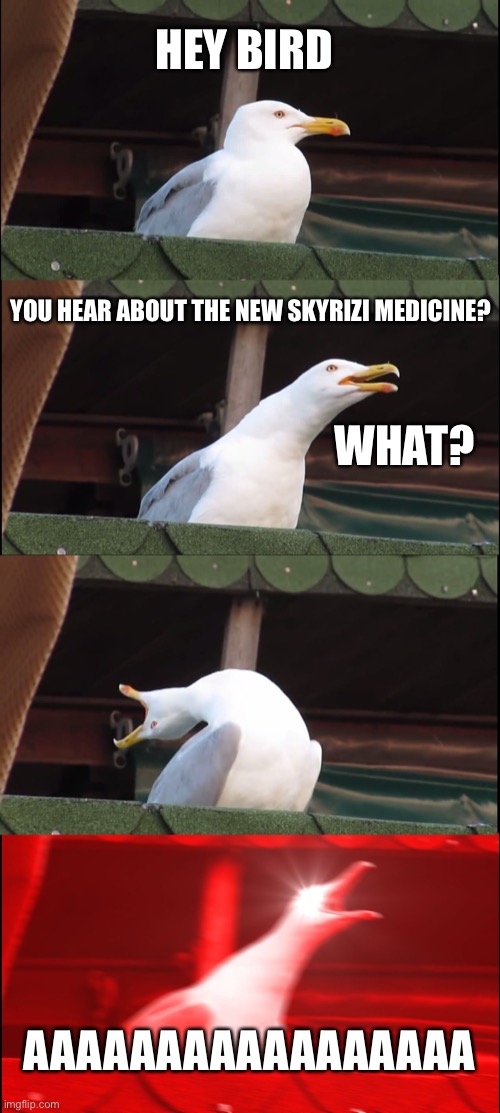 Inhaling Seagull | HEY BIRD; YOU HEAR ABOUT THE NEW SKYRIZI MEDICINE? WHAT? AAAAAAAAAAAAAAAAA | image tagged in memes,inhaling seagull | made w/ Imgflip meme maker