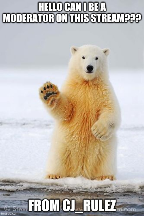 please. | HELLO CAN I BE A MODERATOR ON THIS STREAM??? FROM CJ_RULEZ | image tagged in hello polar bear | made w/ Imgflip meme maker