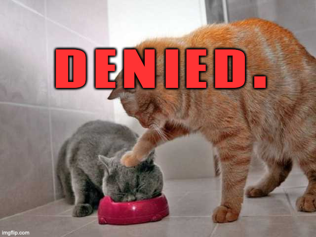 No, nada, nein, non, nyet, DENIED. | DENIED. | image tagged in cat shoving kitten into bowl | made w/ Imgflip meme maker