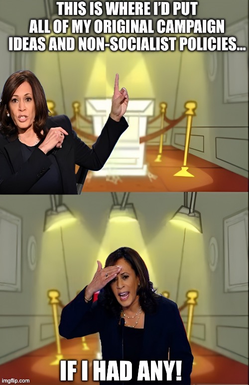 If Kamala had any | image tagged in kamala harris,socialism | made w/ Imgflip meme maker