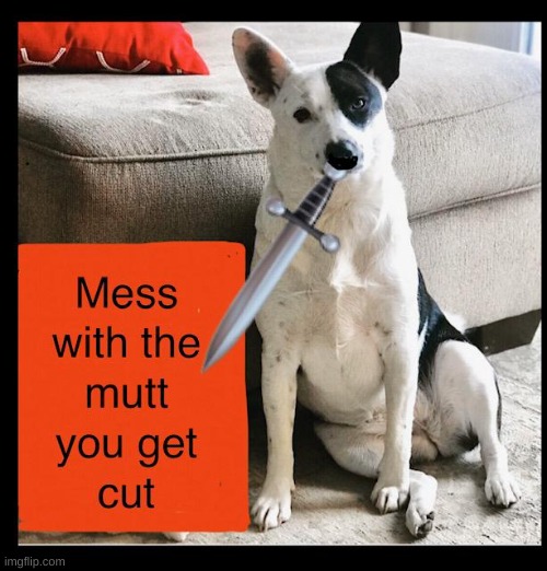 Mess with the mutt you get cut | image tagged in mess with the mutt you get cut | made w/ Imgflip meme maker