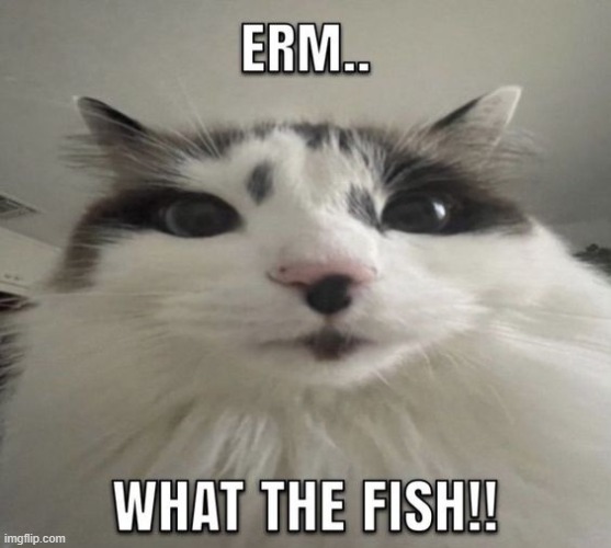 erm....what the fish!! | image tagged in erm what the fish | made w/ Imgflip meme maker