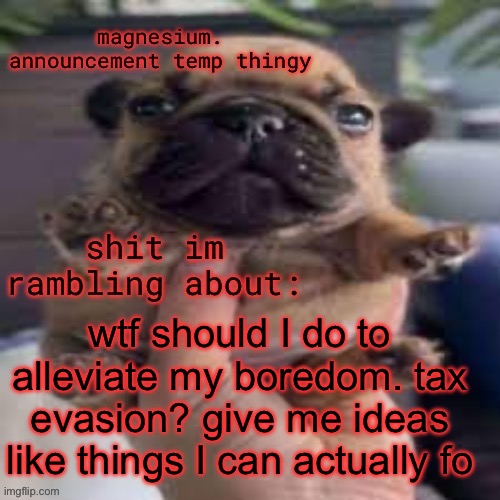 pug temp | wtf should I do to alleviate my boredom. tax evasion? give me ideas like things I can actually do | image tagged in pug temp | made w/ Imgflip meme maker