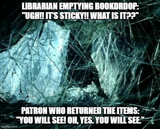 The Librarian's Shelob's Lair | LIBRARIAN EMPTYING BOOKDRDOP: "UGH!! IT'S STICKY!! WHAT IS IT??"; PATRON WHO RETURNED THE ITEMS: "YOU WILL SEE! OH, YES. YOU WILL SEE." | image tagged in frodo caught in web,lotr,librarian | made w/ Imgflip meme maker