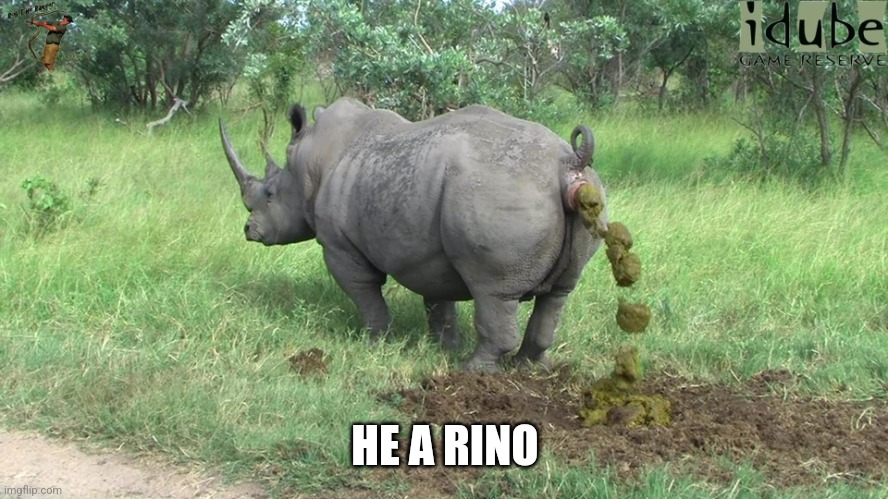 rhino poop | HE A RINO | image tagged in rhino poop | made w/ Imgflip meme maker