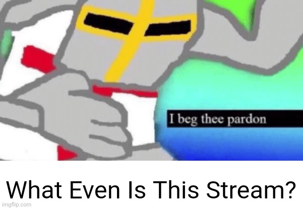 I beg thee pardon | What Even Is This Stream? | image tagged in i beg thee pardon | made w/ Imgflip meme maker