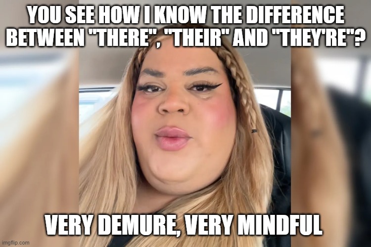 Very demure, very mindful | YOU SEE HOW I KNOW THE DIFFERENCE BETWEEN "THERE", "THEIR" AND "THEY'RE"? VERY DEMURE, VERY MINDFUL | image tagged in grammar | made w/ Imgflip meme maker
