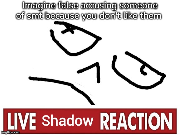 Live Shadow Reaction | Imagine false accusing someone of smt because you don't like them | image tagged in live shadow reaction | made w/ Imgflip meme maker