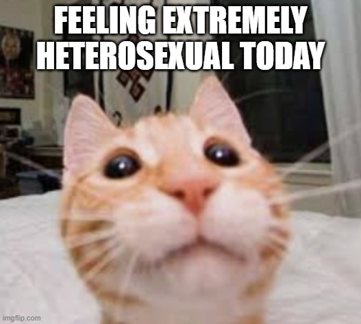 Gabriel | FEELING EXTREMELY HETEROSEXUAL TODAY | image tagged in gabriel | made w/ Imgflip meme maker