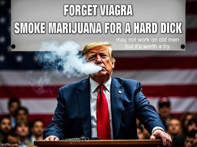 image tagged in viagra,cannabis,donald trump is an idiot,clown car republicans,marijuana,scumbag republicans | made w/ Imgflip meme maker