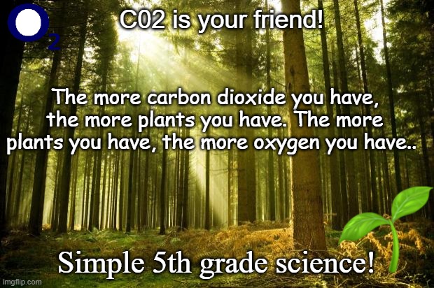 C02 is our friend! | C02 is your friend! The more carbon dioxide you have, the more plants you have. The more plants you have, the more oxygen you have.. Simple 5th grade science! | image tagged in sunlit forest,science,middle school,forest,trees,oxygen | made w/ Imgflip meme maker