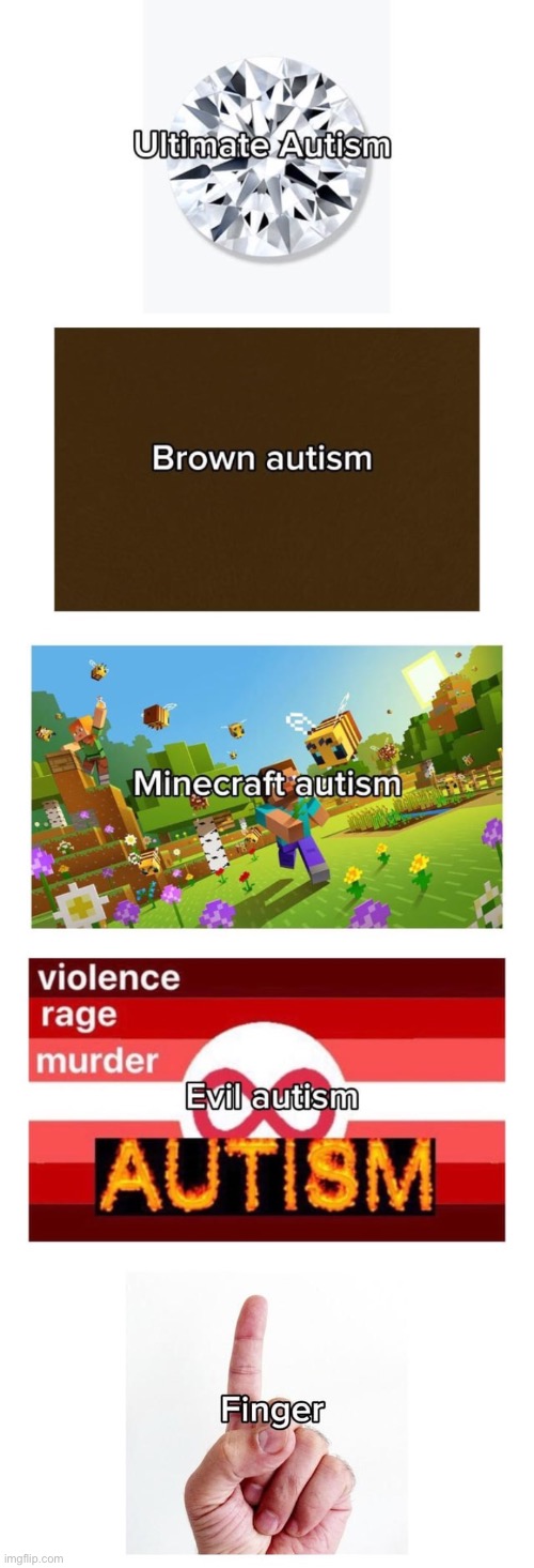which autism are you | made w/ Imgflip meme maker