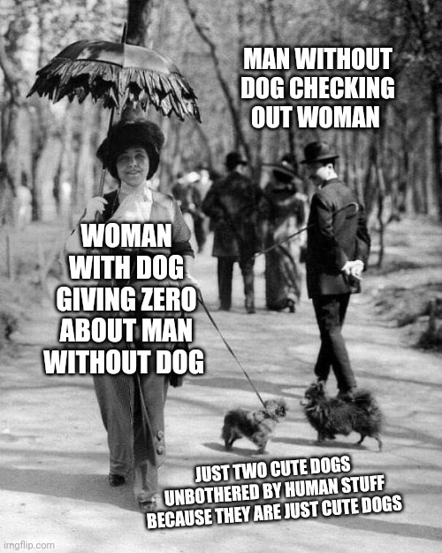 Old Timey Woman With Dog | MAN WITHOUT DOG CHECKING OUT WOMAN; WOMAN WITH DOG GIVING ZERO ABOUT MAN WITHOUT DOG; JUST TWO CUTE DOGS UNBOTHERED BY HUMAN STUFF BECAUSE THEY ARE JUST CUTE DOGS | image tagged in meme,funny,funny memes,dogs,cute dogs,woman | made w/ Imgflip meme maker