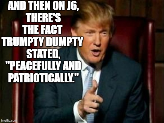 Donald Trump | AND THEN ON J6,
THERE'S THE FACT 
TRUMPTY DUMPTY 
STATED,
"PEACEFULLY AND PATRIOTICALLY." | image tagged in donald trump | made w/ Imgflip meme maker