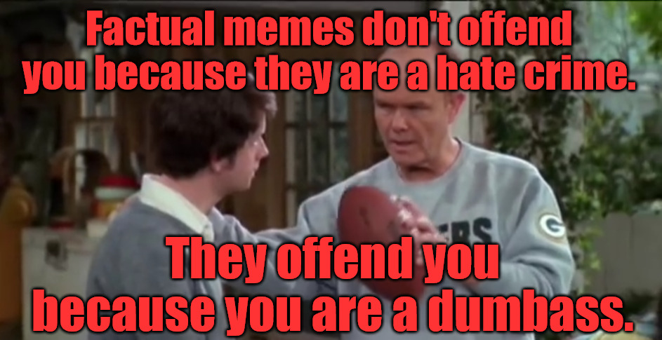 Memes Red 2 | Factual memes don't offend you because they are a hate crime. They offend you because you are a dumbass. | image tagged in if properly executed | made w/ Imgflip meme maker