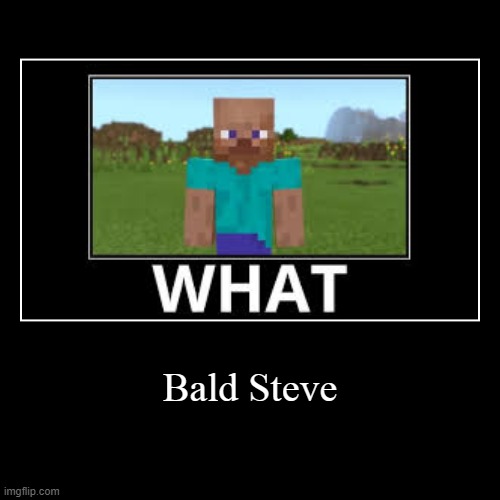 Bald Steve | Bald Steve | | image tagged in funny,demotivationals,minecraft memes,minecraft,what | made w/ Imgflip demotivational maker