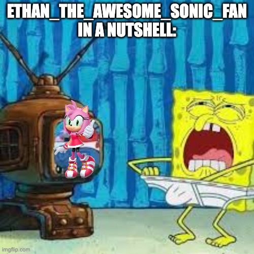 Spongebob beating his meat | ETHAN_THE_AWESOME_SONIC_FAN IN A NUTSHELL: | image tagged in spongebob beating his meat | made w/ Imgflip meme maker