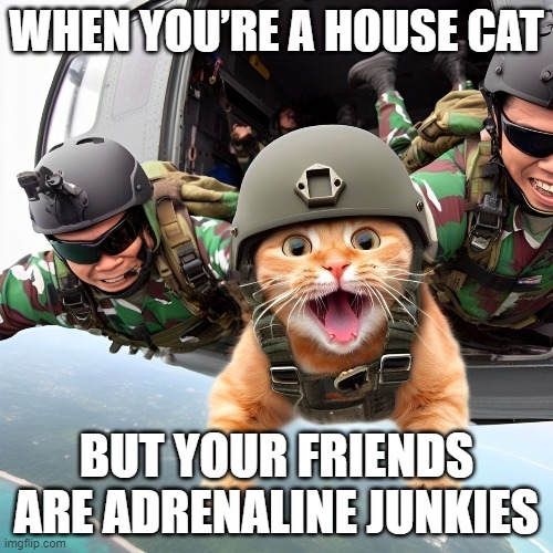 house cat | WHEN YOU’RE A HOUSE CAT; BUT YOUR FRIENDS ARE ADRENALINE JUNKIES | image tagged in memes | made w/ Imgflip meme maker