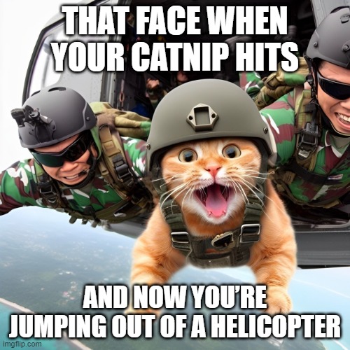 catnip | THAT FACE WHEN YOUR CATNIP HITS; AND NOW YOU’RE JUMPING OUT OF A HELICOPTER | image tagged in memes | made w/ Imgflip meme maker