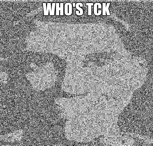 Deep fry scout | WHO'S TCK | image tagged in deep fry scout | made w/ Imgflip meme maker