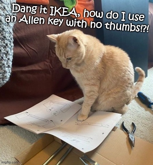 Cat doing flat pack assembling | Dang it IKEA, how do I use an Allen key with no thumbs!?! | image tagged in ikea,allen key,thumbs,problem | made w/ Imgflip meme maker