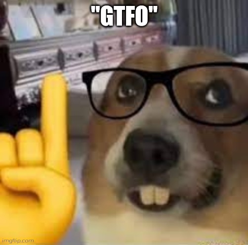 nerd dog | "GTFO" | image tagged in nerd dog | made w/ Imgflip meme maker