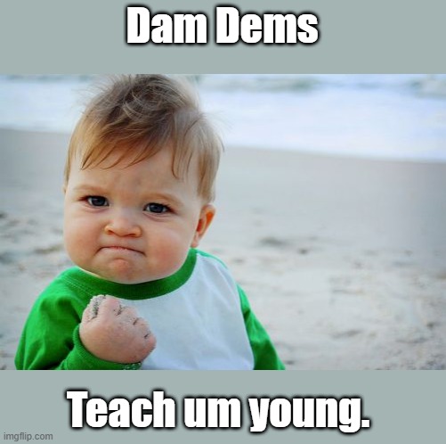 IF you want a SUCCESS KID teach um young. LIBratisum is a disease of the mind.First signs are selfmutilation. | Dam Dems; Teach um young. | image tagged in memes,success kid original | made w/ Imgflip meme maker