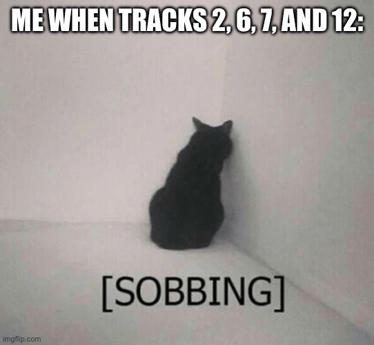 Sobbing cat | ME WHEN TRACKS 2, 6, 7, AND 12: | image tagged in sobbing cat | made w/ Imgflip meme maker