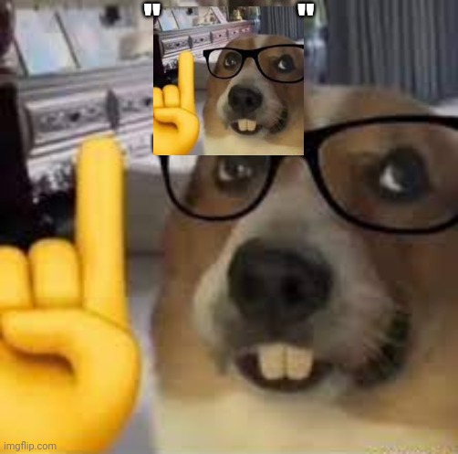 nerd dog | "                 " | image tagged in nerd dog | made w/ Imgflip meme maker