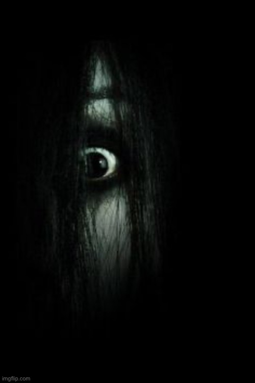 The grudge | image tagged in the grudge | made w/ Imgflip meme maker